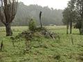 Video: Murchison earthquake survivors, 1999
