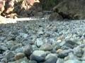 Video: Rangitoto argillite