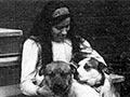 With pets