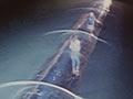 Video: Kelly Tarlton’s Underwater World, 1985