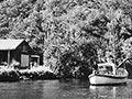 Deep Cove