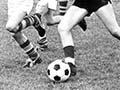 Mixed junior football