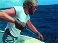 Video: Shark fishing