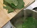 Preparing kawakawa 