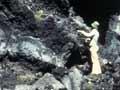 Lava Cascade, Macauley Island 