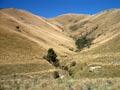 Audio: South Island hill country