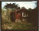 Exterior of the carved meeting house Rangikurukuru near Dargaville