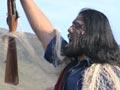 Video: Tamaki Tours