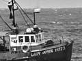 Laying shark nets