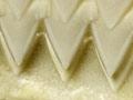 Jaws of a cookie-cutter shark