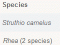 Genetic tree of moa and close relatives