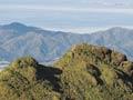 Mt Moehau