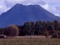 Pūtauaki