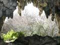 Maniapoto’s cave