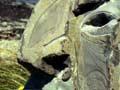 Greywacke sculpture