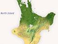 Interactive: Southern limits of kauri and other plants