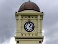 Feilding town centre