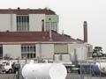 Longburn dairy factory