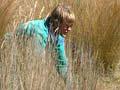 Video: Rare plants