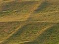 Stone rows, Wairarapa