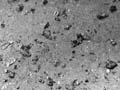 Phosphate nodules