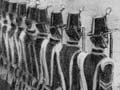 ‘The invasion of Auckland by the Ngatipaoa’