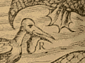 16th-century depiction of the deep