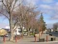 Fairlie’s peace avenue