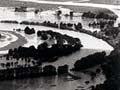 Ruamāhanga River in flood (1st of 2)
