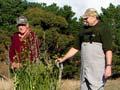 Restoring habitat