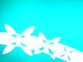 A Polynesian lightbox