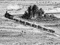 A Manawatū sketch