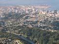 Wellington Fault