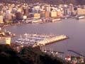 Daybreak, Wellington