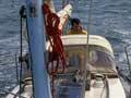 Harbour pursuits