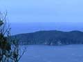 Chicken Island