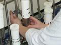Waikato Radiocarbon Dating Laboratory