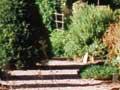 Linnaeus’s garden