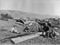 Scientists alongside a whale skeleton, about 1874