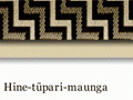 Whakapapa of insects