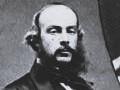 Balding man with beard looking at camera