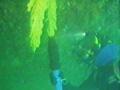 Vacuum removal of fouling