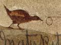 Interactive: Snaring a weka