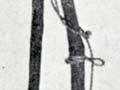 Tumu