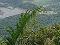 Raoul Island