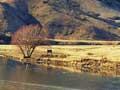 Clarence River valley