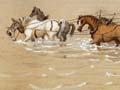 Fording a river 