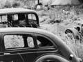 Foxton motor camp