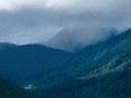 Orongorongo valley
