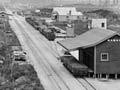 Mamaku around 1916